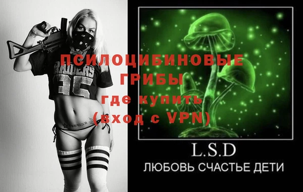 соль ск Бугульма
