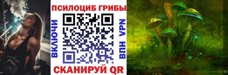 omg ССЫЛКА  Железногорск-Илимский  Псилоцибиновые грибы мухоморы  закладки 